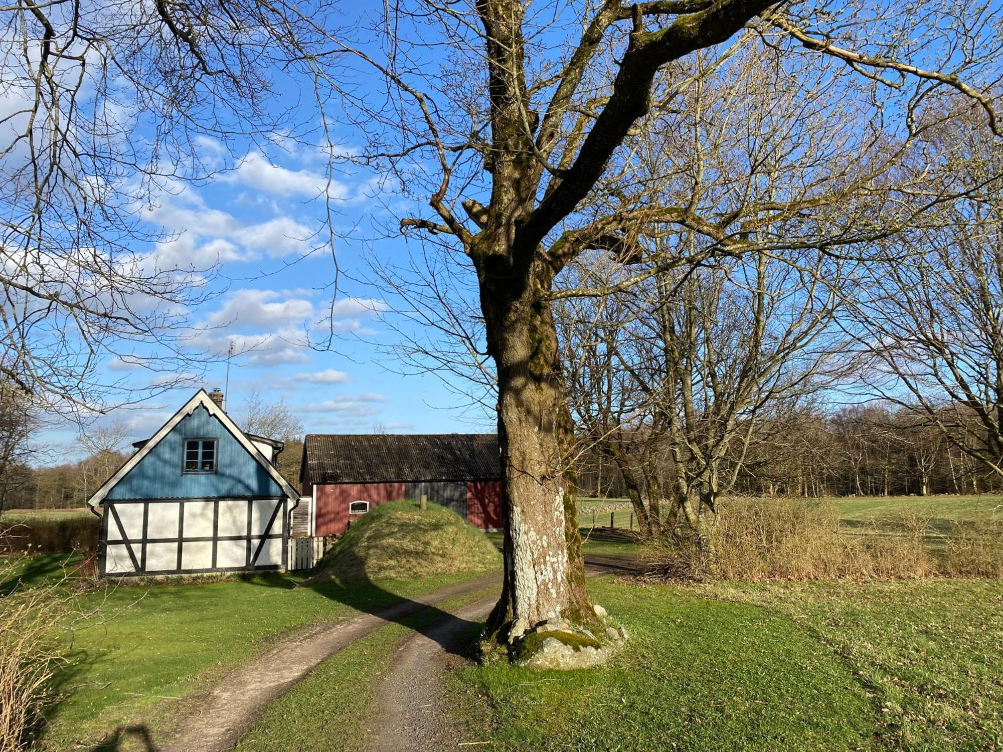 Vila Torpet Tollarp Exteriér fotografie