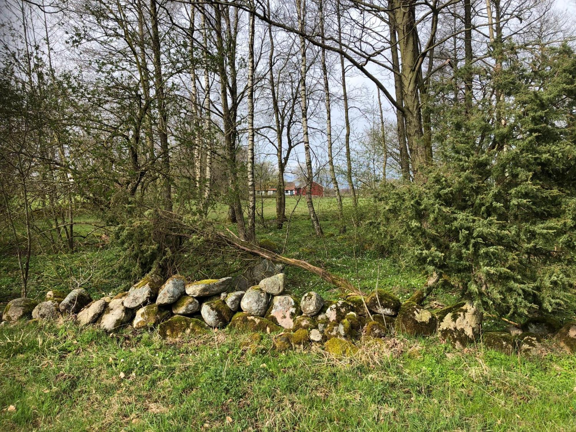 Vila Torpet Tollarp Exteriér fotografie