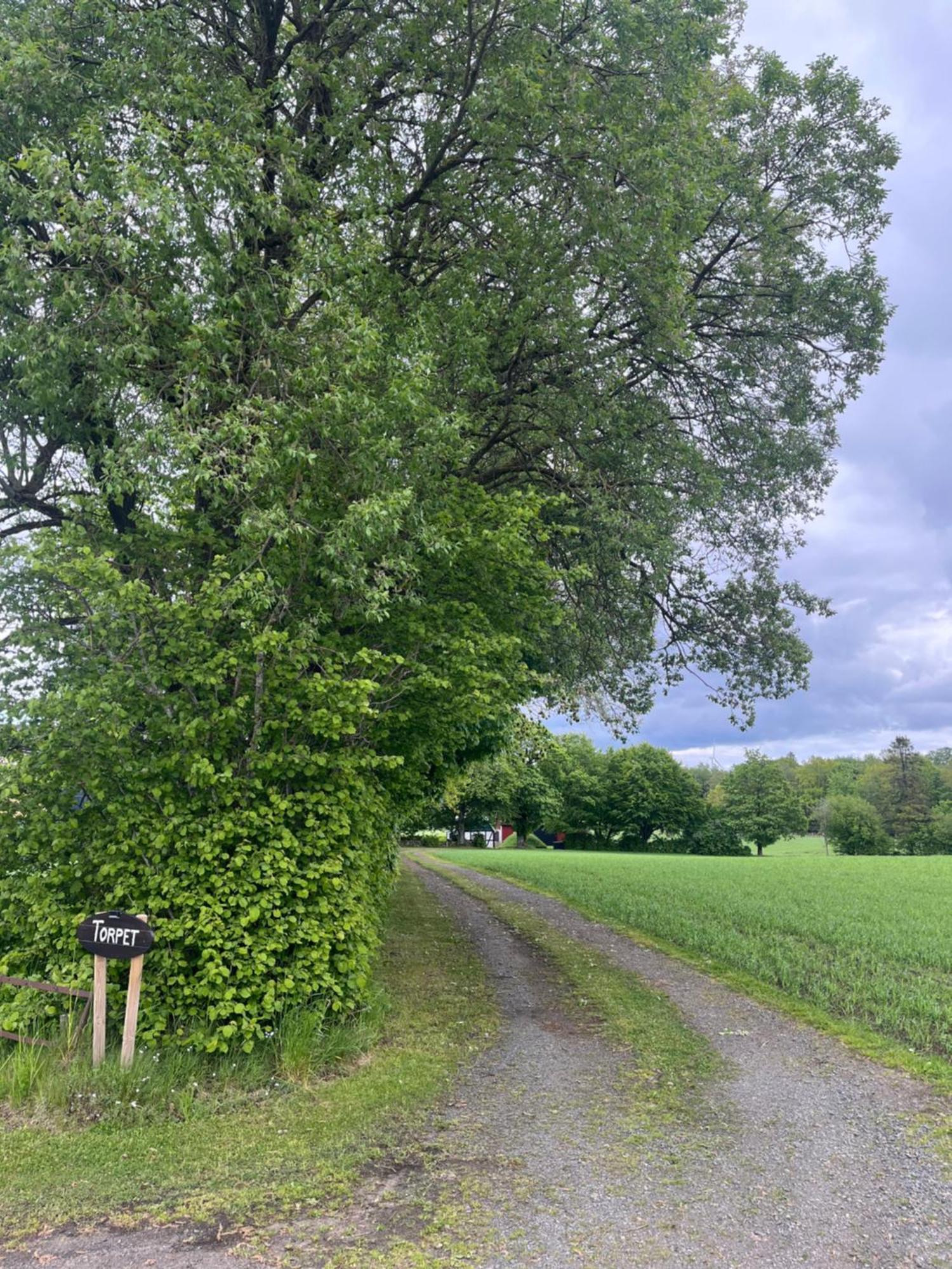 Vila Torpet Tollarp Exteriér fotografie